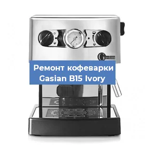 Чистка кофемашины Gasian B15 Ivory от кофейных масел в Перми